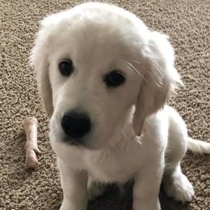 Meet your Posher, Angie